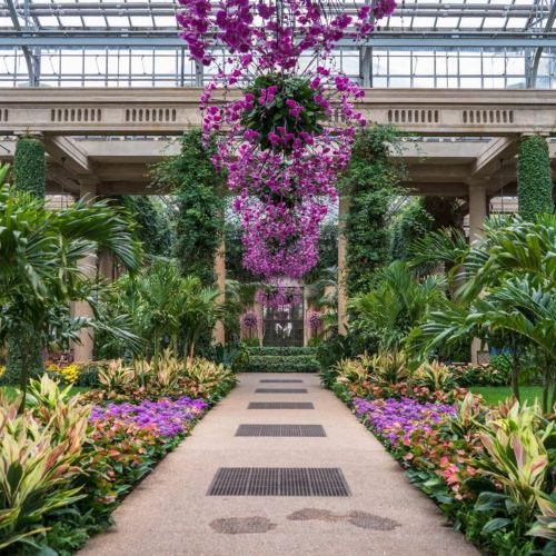 Floral display at Longwood Gardens