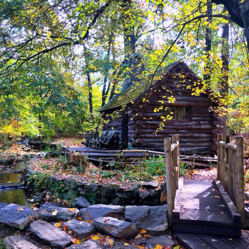 Morris Arboretum Cabin