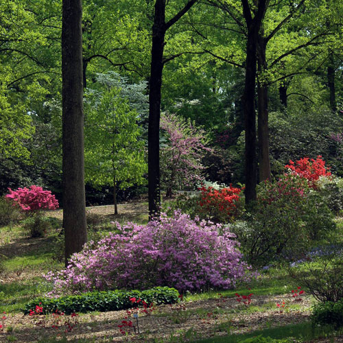 Tyler Arboretum